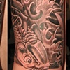 Tribal and Koi