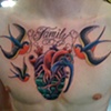 Heart Birds