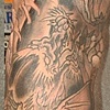 Dragon Koi
