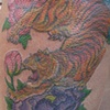 Tiger and Beonies