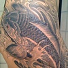 Randi's Koi