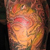 toad