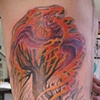 Pheonix and tree