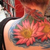 lilies 