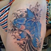 blue koi