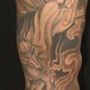 Nine tailed fox
