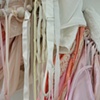 Blanche (detail)