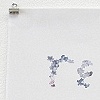 Forget Me Not