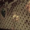 Childrens Portrait Wall