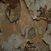 Cut Outs (detail 3)