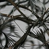 Container for the Uncontainable (detail)