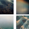 examples from Color Studies Series