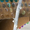 Ghost Trap: box trap (everybody knows it ain't trickin' if you got it) detail