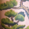 Tree 3