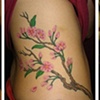cherry blossom hip