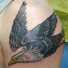 Eagle After