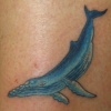 tiny whale on ankle