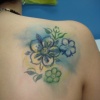 Freehand 