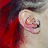 Tragus - Anti Tragus
