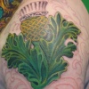 Thistle Cover Up First Session