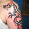 FRONT DRAGON & SNAKE