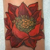 RAINBOW WRIST COVERD WITH LOTUS