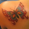 sylvia butterfly