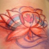 Freehand 