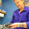 DIANNE MANSFEILD