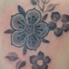 Final Cover Up
