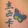 KANJI WITH  BUTTERFLY