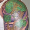 toms bonzai dragon