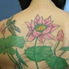 lotus pond back
