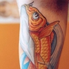 coi fish