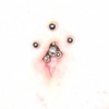 Navel x3