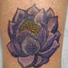 cover-up tribal dragon w. lotus
