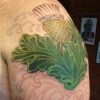 Thistle Cover Up First Session