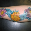 lotus& water