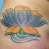 Cover Up