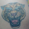Cover Up