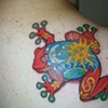 COVER-UPS