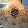 START OF TRIBAL THISTLE BACKPIECE
still to be completed......