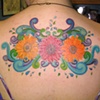 anna's back crazy colour 