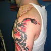 TRIBAL DRAGON & SNAKE