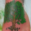 Oak Tree Foot