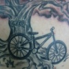 Tree Bike