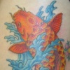 Koi
