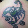 scorpion back
