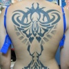Tribal Back