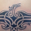 Phoenix Knot
